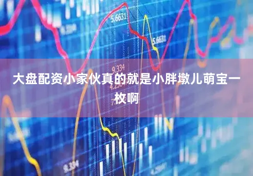 大盘配资小家伙真的就是小胖墩儿萌宝一枚啊