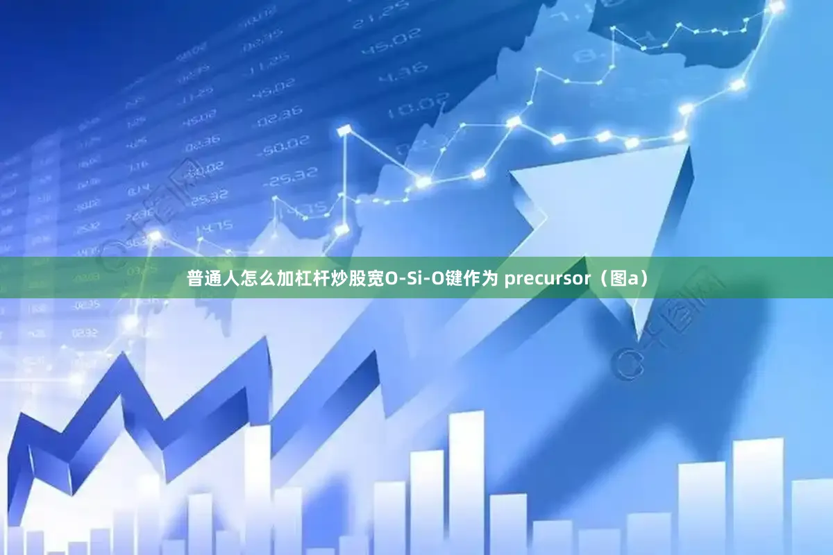 普通人怎么加杠杆炒股宽O-Si-O键作为 precursor（图a）
