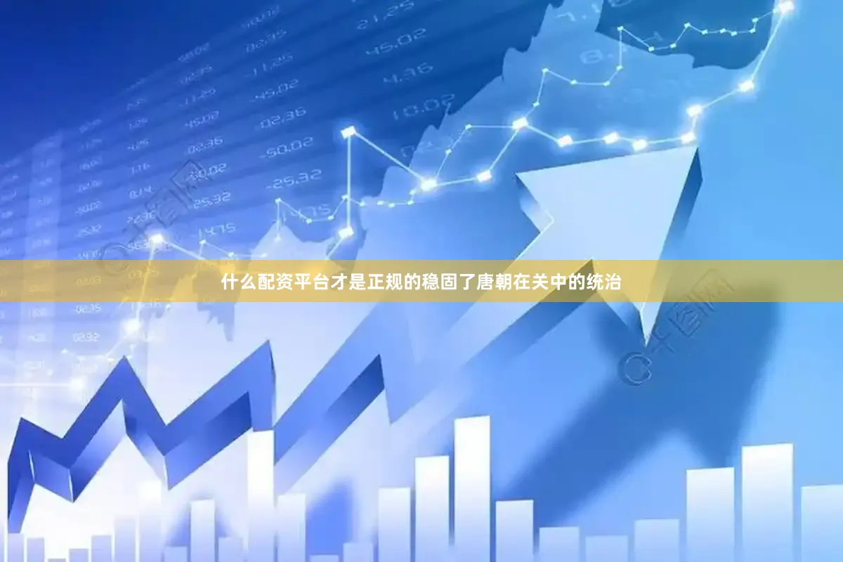 什么配资平台才是正规的稳固了唐朝在关中的统治